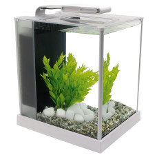 Акваріумний набір Fluval «Spec» білий, прямий (10 л)