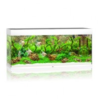 Аквариумный набор Juwel «Rio 240 LED» белый, прямой (240 л)
