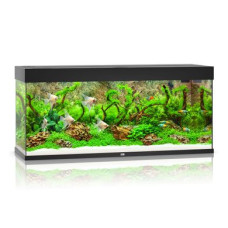 Акваріумний набір Juwel «Rio 240 LED» чорний, прямий (240 л)