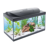 Акваріумний набір Tetra Starter Line LED прямий (54 л)