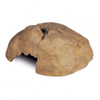 Декорація для тераріума Exo Terra «Reptile Cave» Грот XL 30 x 28 x 11 см (пластик)
