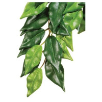 Декорация для террариума Exo Terra растение «Ficus» L (шёлк)