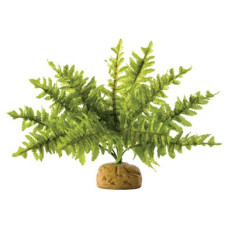 Декорація для тераріума Exo Terra рослина на підставці «Boston Fern» S