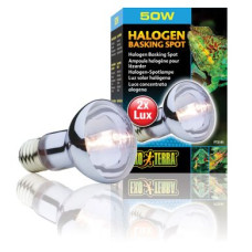 Галогенова лампа Exo Terra «Halogen Basking Spot» 50 W, E27 (для обігріву)
