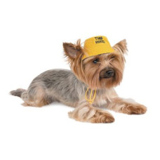 Панама Pet Fashion «PARTY» S