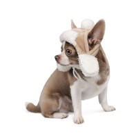 Шапка Pet Fashion «Bubo» XS