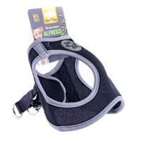 Шлея для собак GimDog Alfresco неопрен M 41-44 см (чёрная)